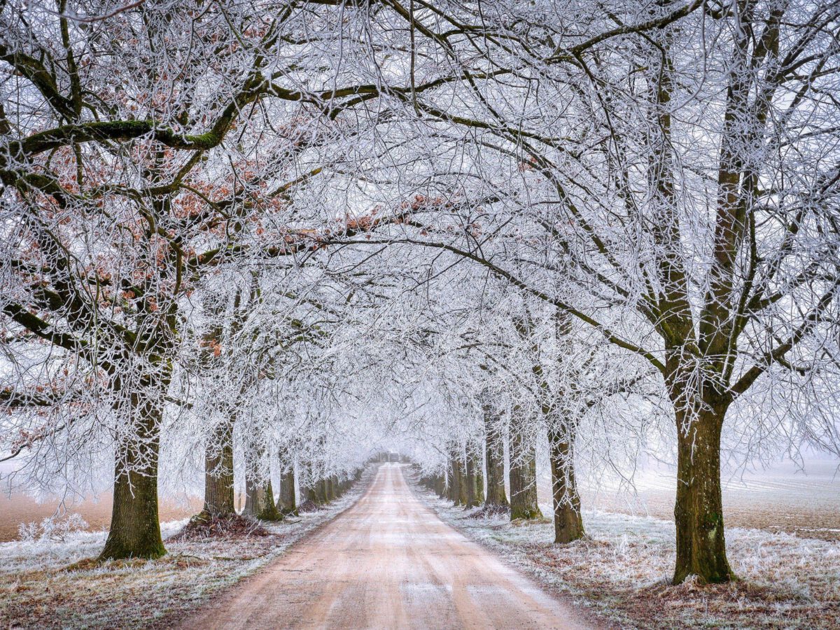 Das Winterrätsel: Wer schrieb das?