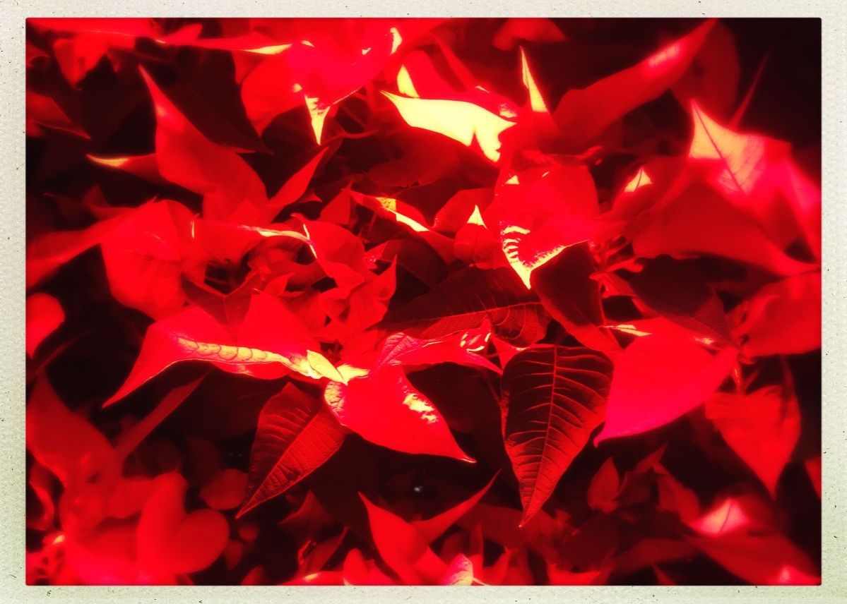 Frohe Feiertage von den Kesseltönen