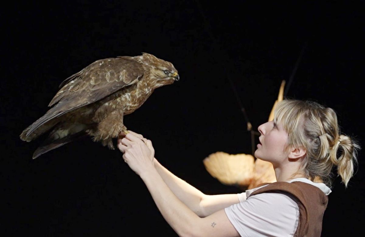 Shorties #21: Ein Abend jenseits des Mainstreams im FITZ